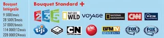 subscription-seeafrika TV cccam